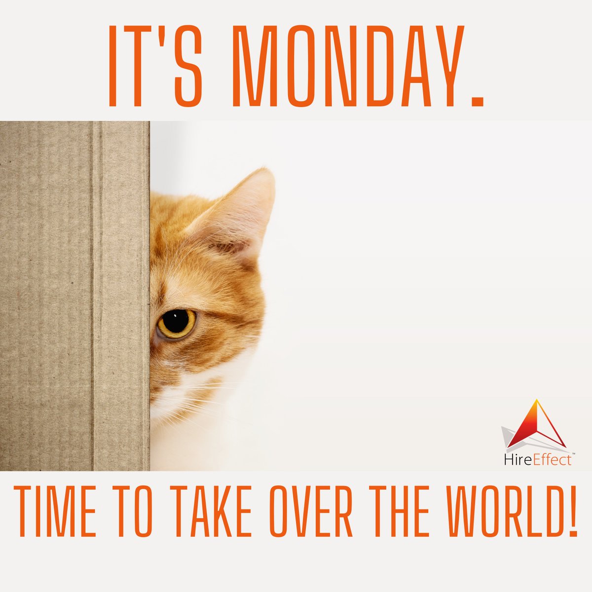 HireEffect's tweet image. Motivation Monday! Time to grab a cup of coffee and SLAY THE DAY!

#HireEffect #PeopleFirst #TechnologyForward #MondayMotivation