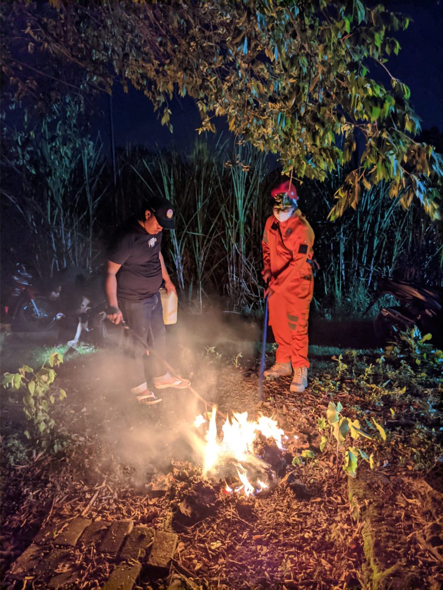 FPunokawan's tweet photo. Senin (31/1) Mitigasi sarang tawon di wilayah Kampung Nitiprayan RT 01 https://t.co/fq7uSCX4bh