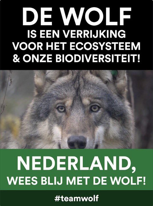 Frans Kapteijns tweet media