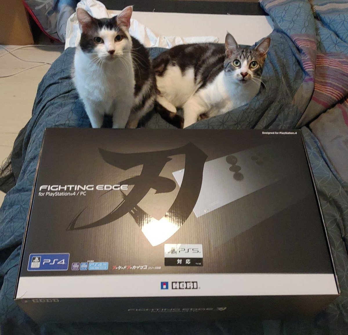 Achorawl's tweet photo. Got my prize from @Playstation for being part of the winning team of #fgcarcade Holiday Brawl of #GuiltyGearStrive !
Thanks again @Uriel_Legion @Armix27 Nour and SilverNT for teaming up with me ! 🦁✨ https://t.co/1N9nevcbrP