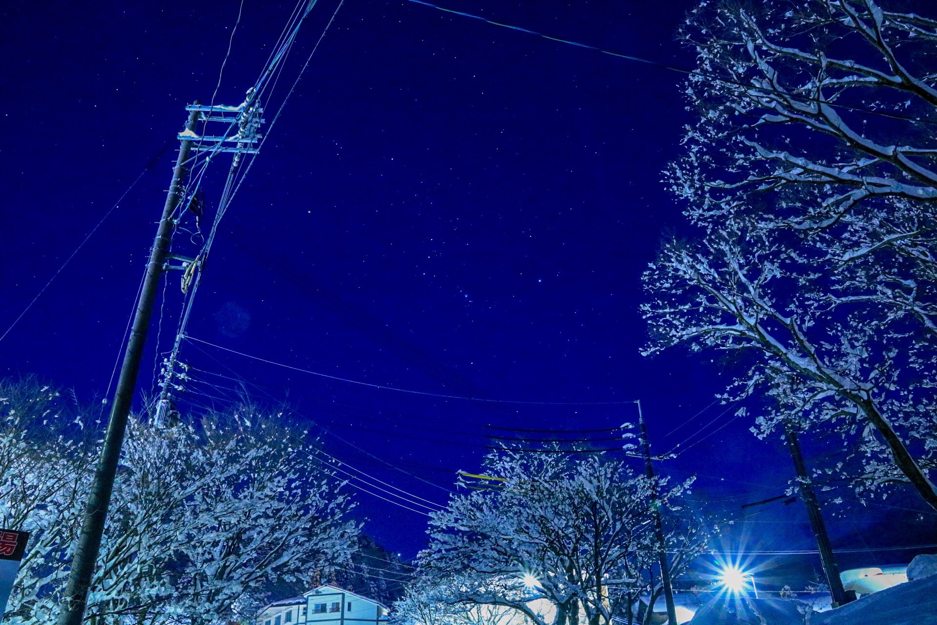 تويتر あお على تويتر 冬の星座を捕まえた T Co Rbfzqhyhru