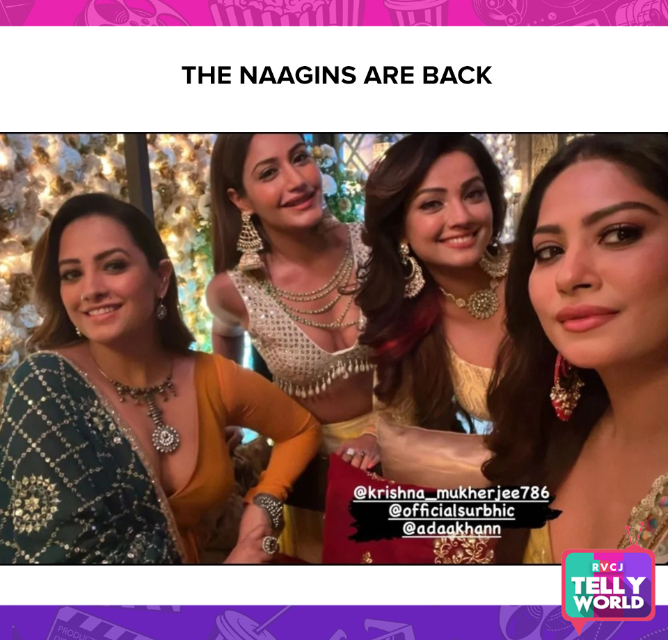 Naagins are back! #anitahassanandani #surbhichandna #krishnamukherjee #adaakhan #Naagin6