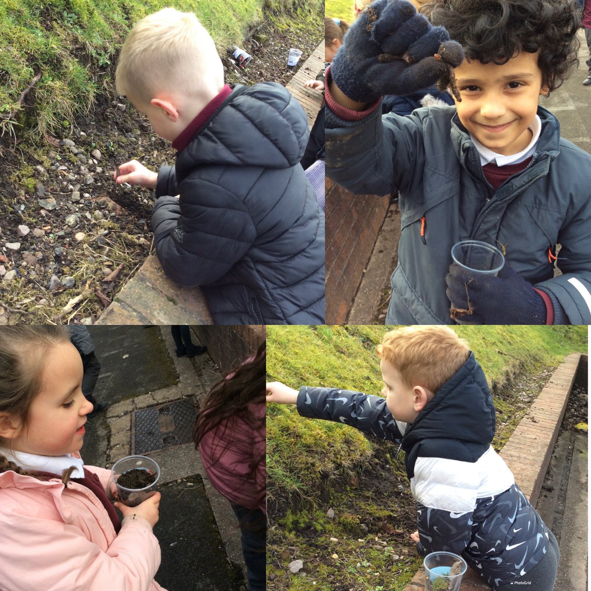 TividaleHall_'s tweet image. Year 2 had loads of fun creating Microhabitats for their Science Lesson today! They have done a fantastic job! 🪱🐞🕷🐛🐌 #year2science #microhabitats #cold