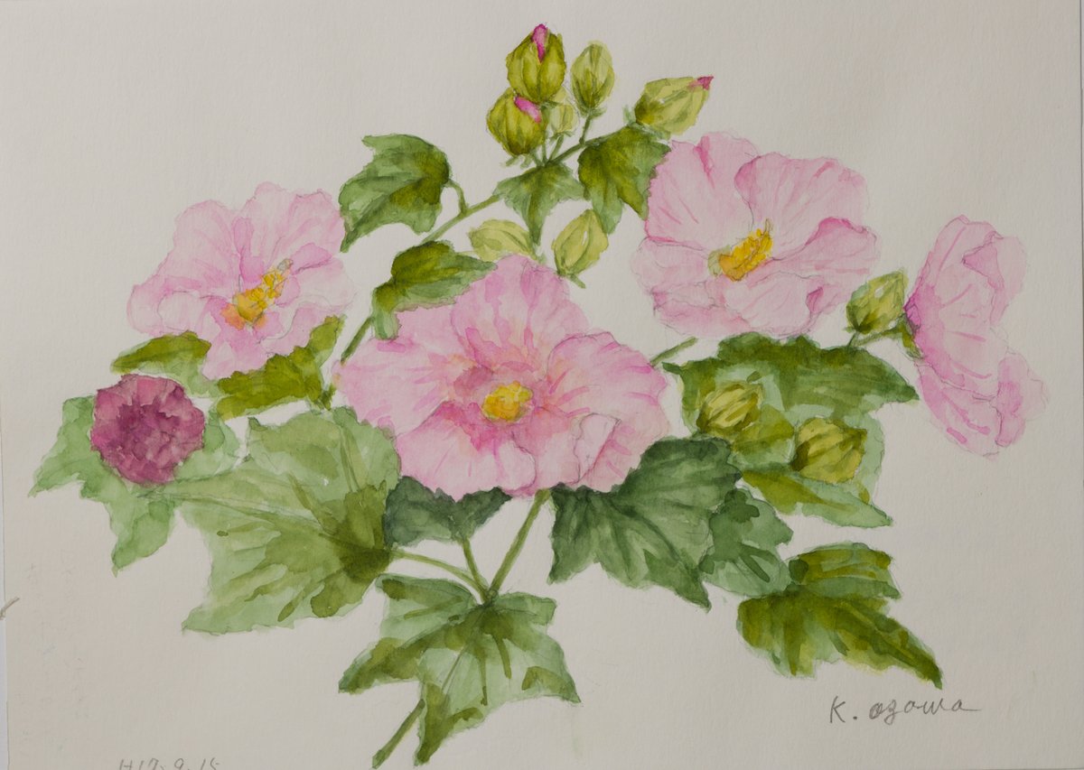 酔芙蓉の花の絵 のイラスト マンガ作品 Twoucan