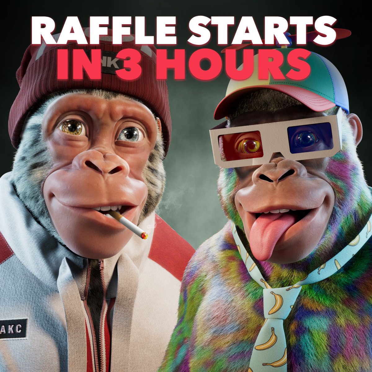 AlphaKongsClub's tweet image. Jake and Stevie are as READY as ever for the raffle in 3 hours. In just 3 hours it’s GO TIME! 🔥

Join the Raffle to mint an Alpha Kong on: alphakongsclub.com 👈🏼 

Who else is excited for the launch?! 🚀👇🏽

One retweet gets whitelist. 🤍