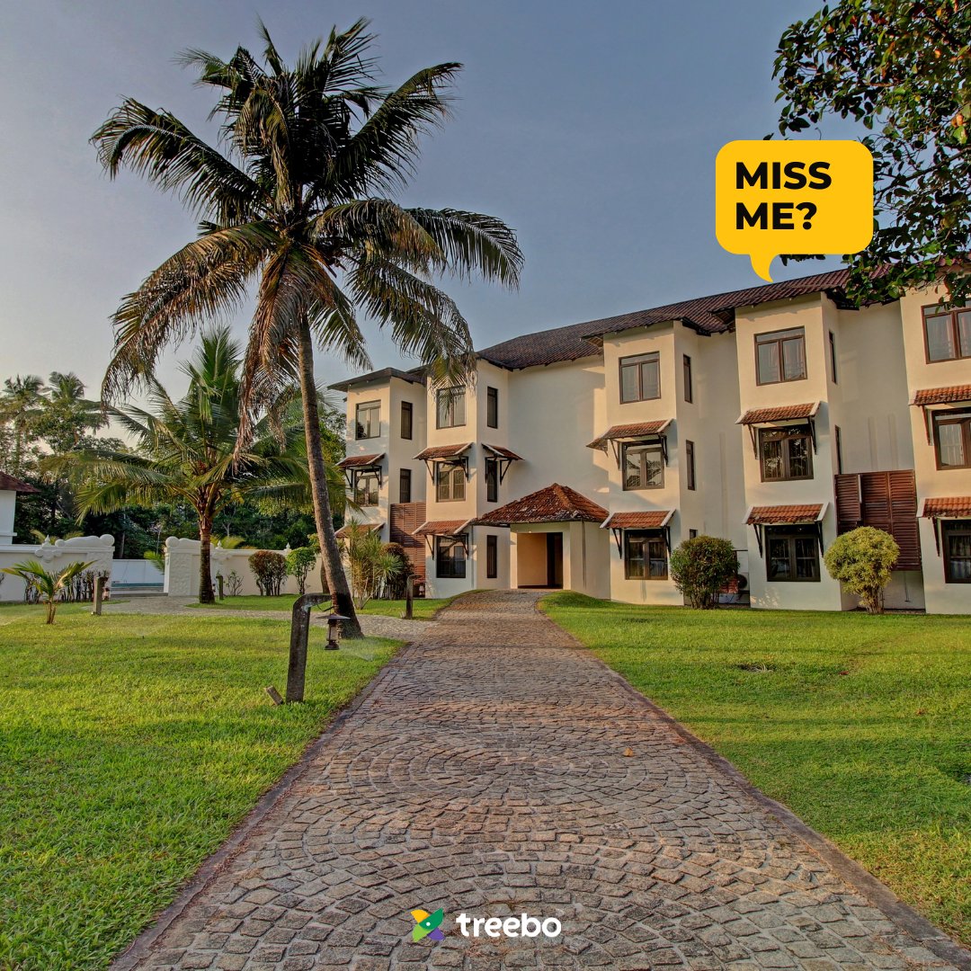 TreeboClub's tweet photo. We miss you, come back soon!
.
.
.
#TreeboHotels #Hotels #Rooms #View #Travel #StaySafe #TravelPhotography #MondayBlues #MondayMood #TreeboForYou #Vacation #Mondayvibes https://t.co/xeOlDjEF8w