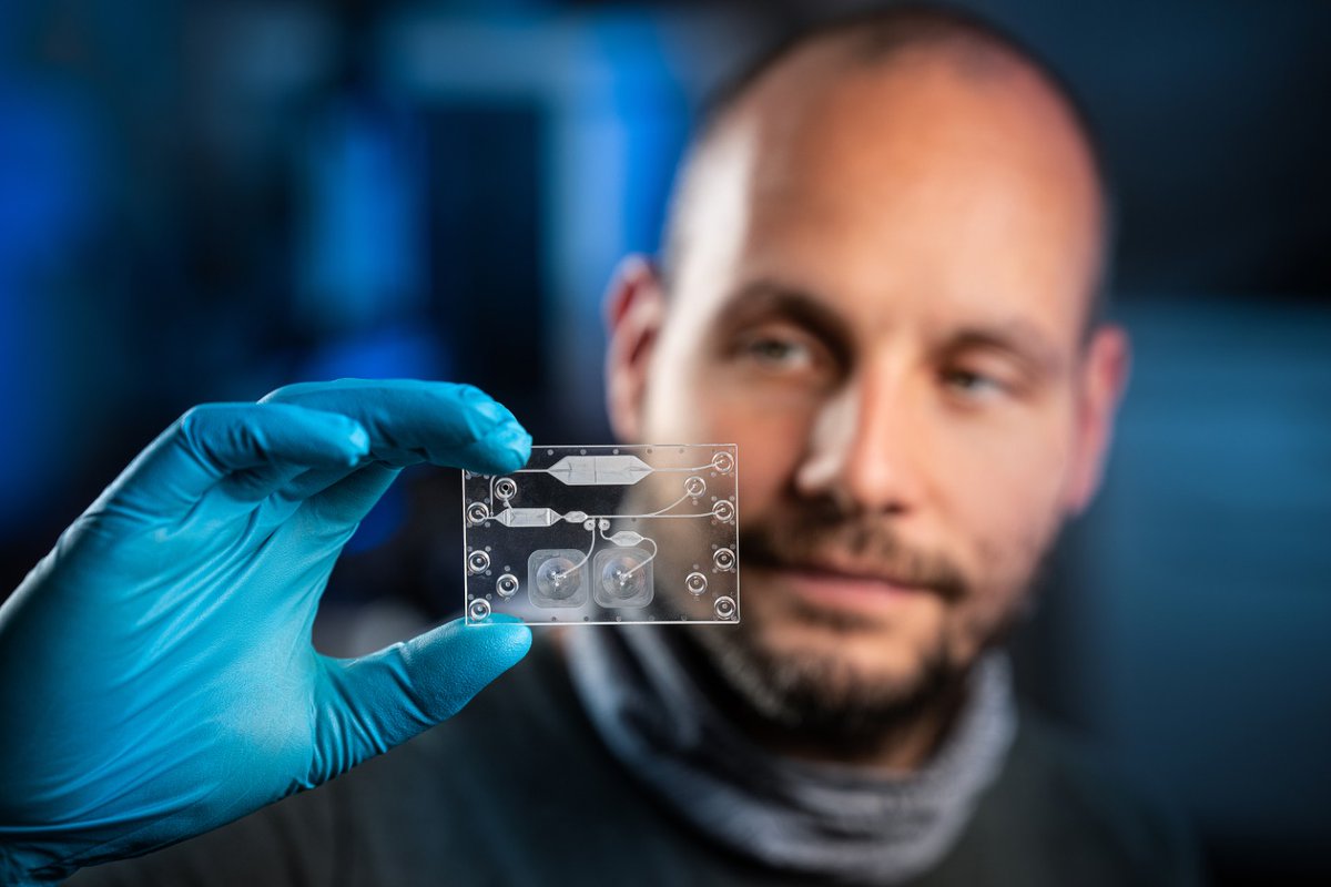 analyticaFair's tweet photo. Most-read analytica news: #LabOnChip systems: From prototype to series production in no time - Globally unique solution saves time, costs
https://t.co/zKfC26LCLP
@FraunhoferIWS @WilhelmGerdes @ChipShop_Jena @BMBF_Bund
#labtech #LabOnAChip #microystems #biosystems
📸 @ronald_bonss https://t.co/nefLU5idUW