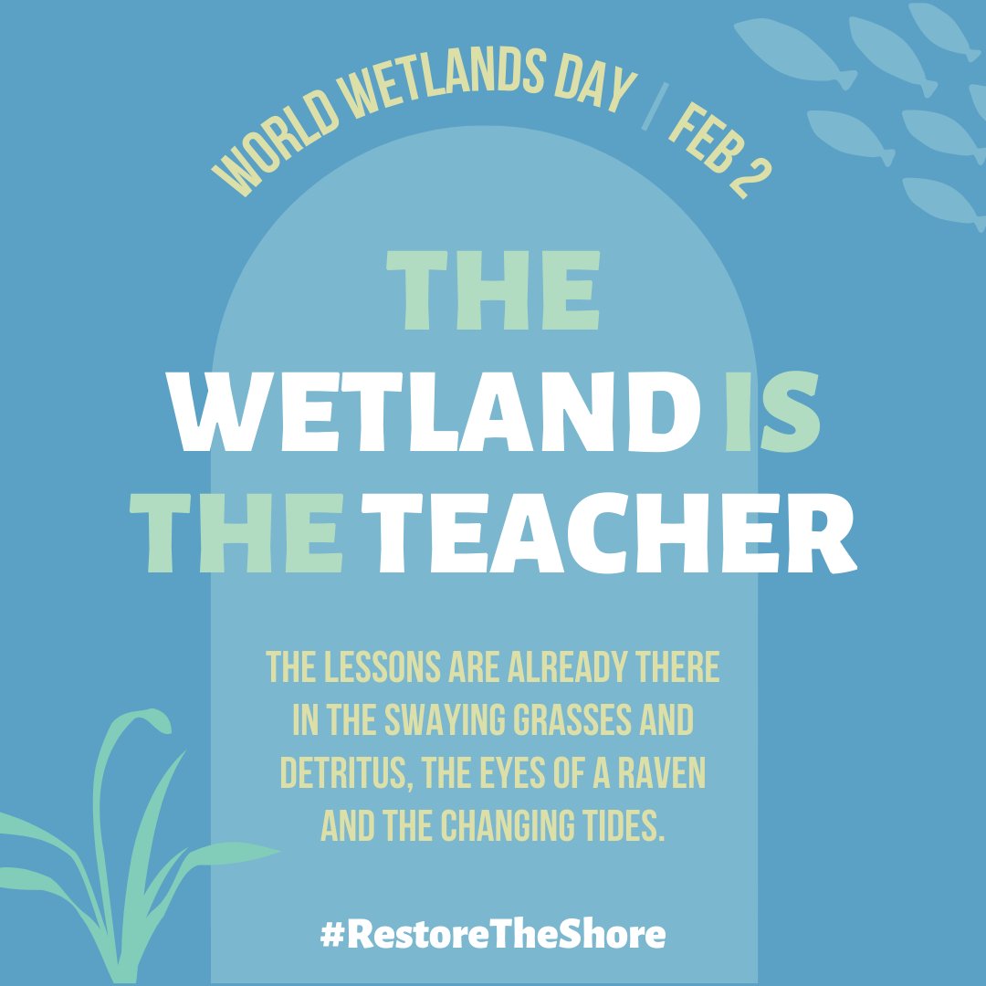 It's World Wetlands Day on Wednesday. We can thank the wetlands of the Squamish River Estuary for providing flood mediation, groundwater replenishment and pollution filtration. Spend time in wetlands and you might be surprised by what you learn #RestoreTheShore