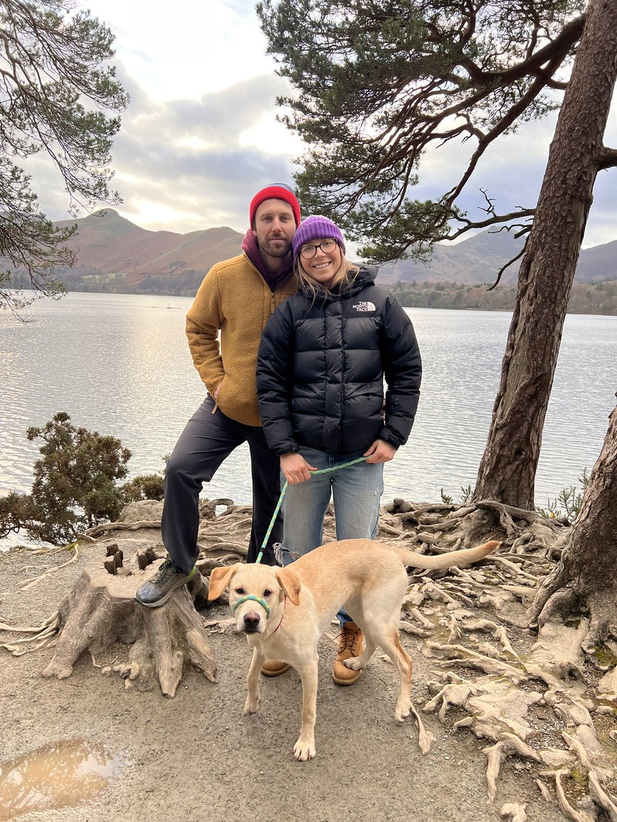 mark lawson tweet media