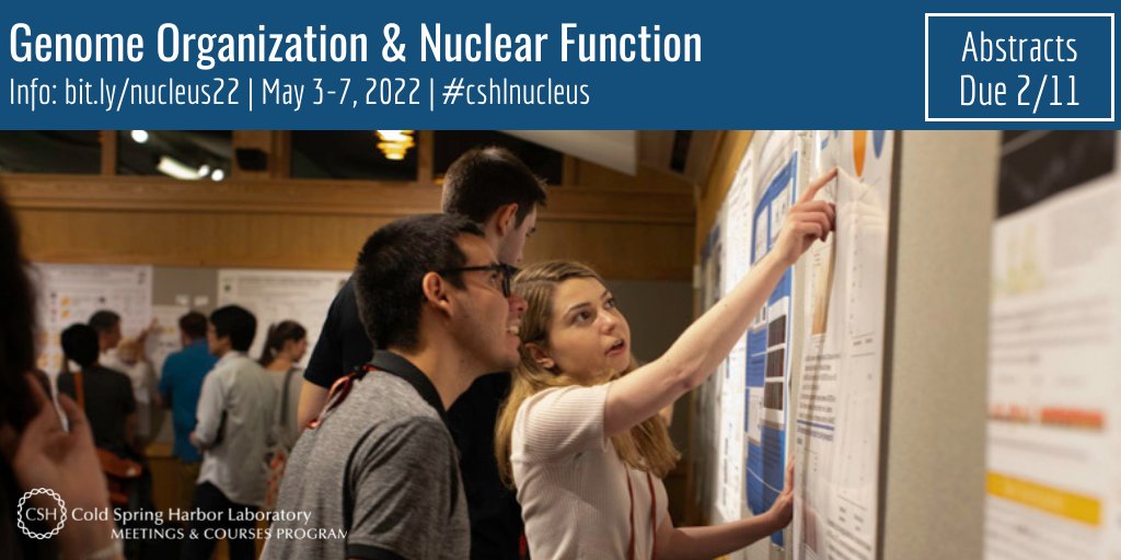 CSHL Meetings (@cshlmeetings) on Twitter photo Call for #cshlnucleus abstracts--submit by 2/11!
Genome Organization & Nuclear Function (May 3-7)
Organizers: <a href="/belmont_andrew/">Andrew Belmont</a> @NCITomMisteli <a href="/apombo1/">Prof Ana Pombo</a> <a href="/WickstromLab/">Wickstrom-Lab</a>
For info and COVID-related policies: bit.ly/nucleus22 Call for #cshlnucleus abstracts--submit by 2/11!
Genome Organization & Nuclear Function (May 3-7)
Organizers: <a href="/belmont_andrew/">Andrew Belmont</a> @NCITomMisteli <a href="/apombo1/">Prof Ana Pombo</a> <a href="/WickstromLab/">Wickstrom-Lab</a>
For info and COVID-related policies: bit.ly/nucleus22