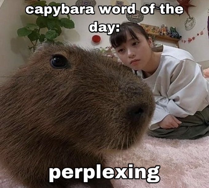 de_function's tweet image. Внимание.