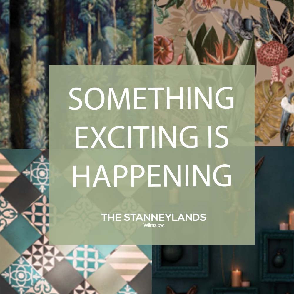 The Stanneylands tweet media