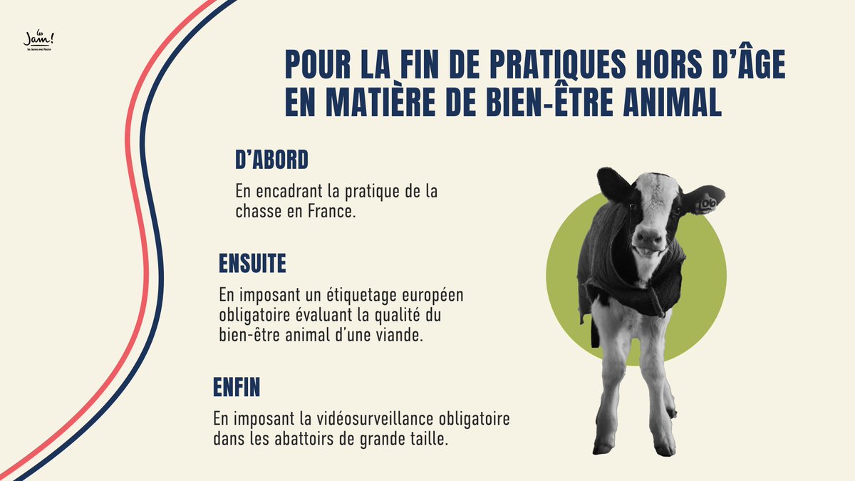 Les Jeunes en marche tweet media