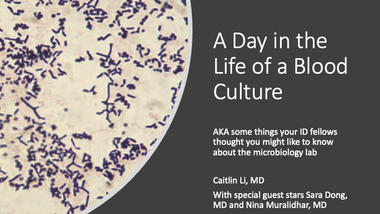 Caitlin Li, MD, MHQS tweet media