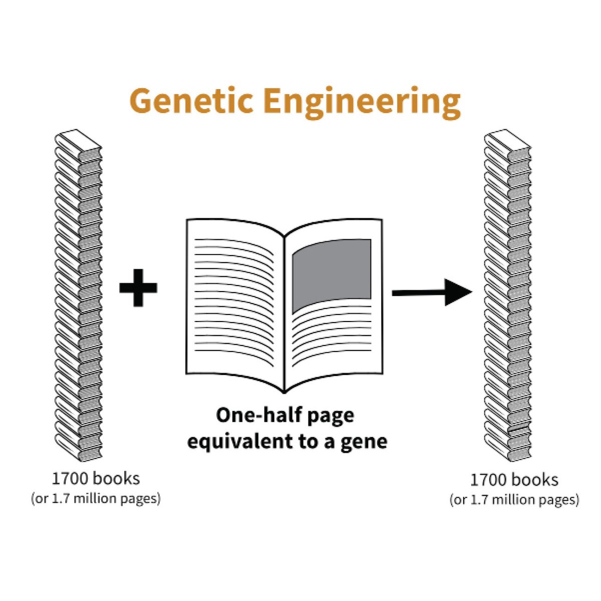 sci4citrus's tweet photo. Living organisms, including plants, have many cells.

What makes lemons, oranges, and limes look and taste different?

Learn about how classical breeding is used to create new #citrus varieties! ⬇️
https://t.co/7RQxZE13th

#sci4citrus https://t.co/BBvWEzSkpN