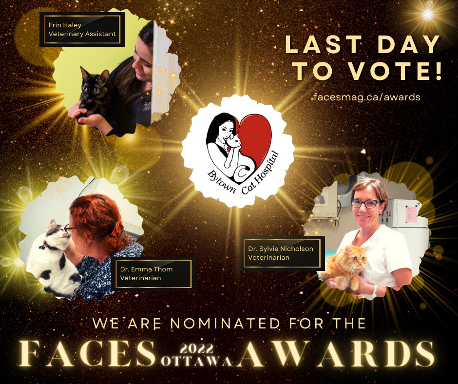 TheCatHospitals's tweet photo. LAST DAY TO VOTE! #BytownCatHospital, Dr. Emma Thom, Dr. Sylvie Nicholson, &amp; #Veterinary Assistant Erin Haley are nominated for 2022 #FACESOttawa Awards! Please help us win! VOTING ENDS TONIGHT @ 8:30pm 
VOTE> https://t.co/HSbSlfAjHD
#facesawards #Ottawaawards #CatsOfTwitter https://t.co/JKg5cKuOyI