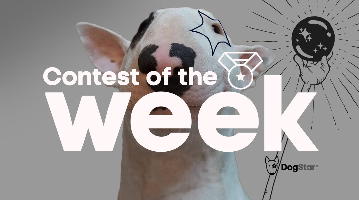 Quiz: Terry's Crystal Ball🔮

💰Prize: 400 $XLM 

When will <a href="/dogstarcoin/">Dogstar $XTAR</a> twitter reach 5000 followers❓

Rules:
✅Retweet / Like / Follow
✅On comments: (only 1 comment)
Guess &amp; Predict: MM/DD/YY

👇ON THIS TWEET!👇

Close: On Feb 4 19h UTC

Good luck!🍀

#dogstar $XTAR #stellar