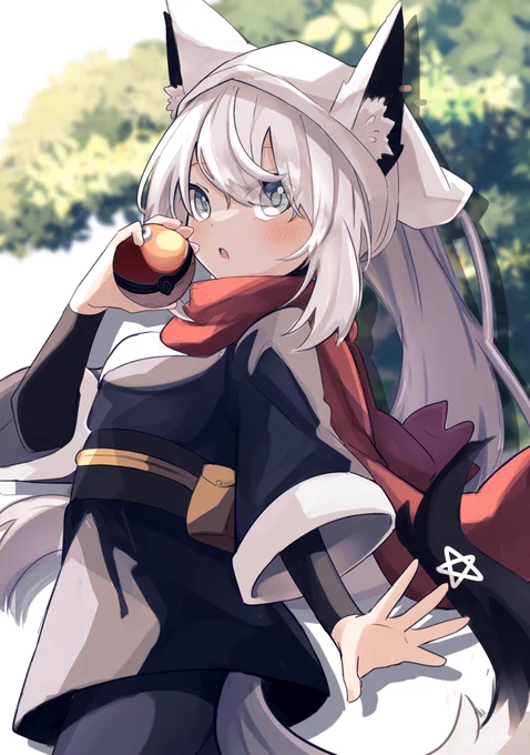 #絵フブキ
 色違いいっぱい捕まえるぞい! 