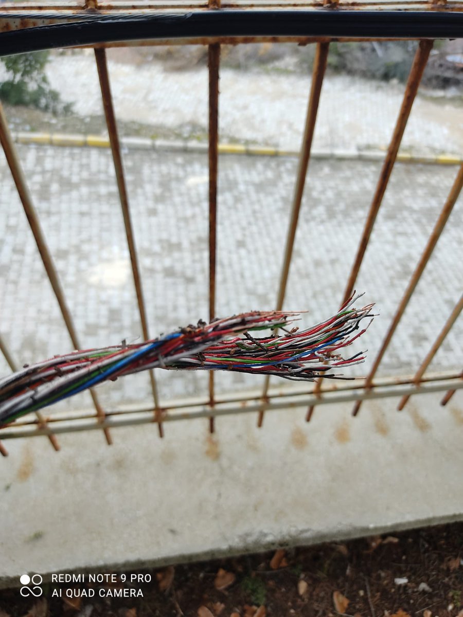 ilgarbusee's tweet photo. 21 Ocak tarihinde internet ana kablomuz nedenini bilmediğimiz bir şekilde koptu defalarca ariza bildirimi yapmamıza,türk telekom müşteri hizmetlerine sorunu iletmemize rağmen genel arıza olduğu gerekçesi ile oyalanıyoruz. Çözüm? @TurkTelekom @TTDestek https://t.co/ksqOx8oWMJ