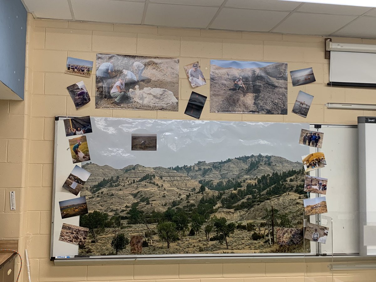 Dian Brannen tweet media