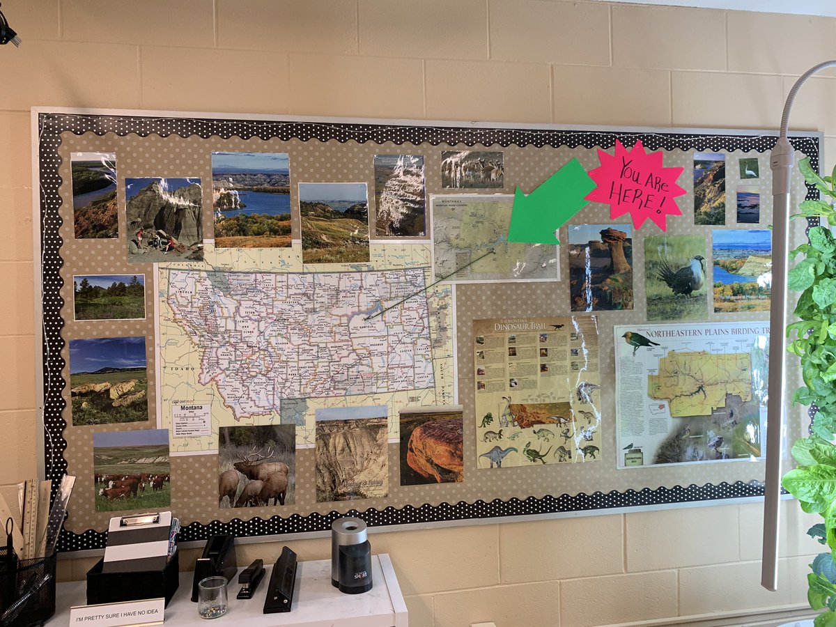 Dian Brannen tweet media