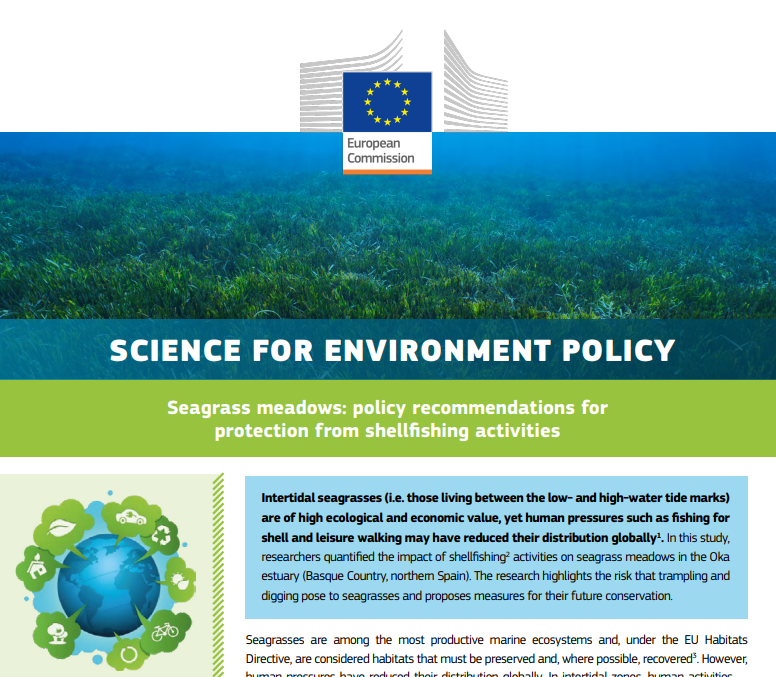 AngelBorjaYerro's tweet photo. @SfEP has featured our @azti_brta paper on policy recommendations for #protecting #seagrass meadows from #shellfishing activities

https://t.co/jeulbnZwvx https://t.co/g8LfRml1Ya
