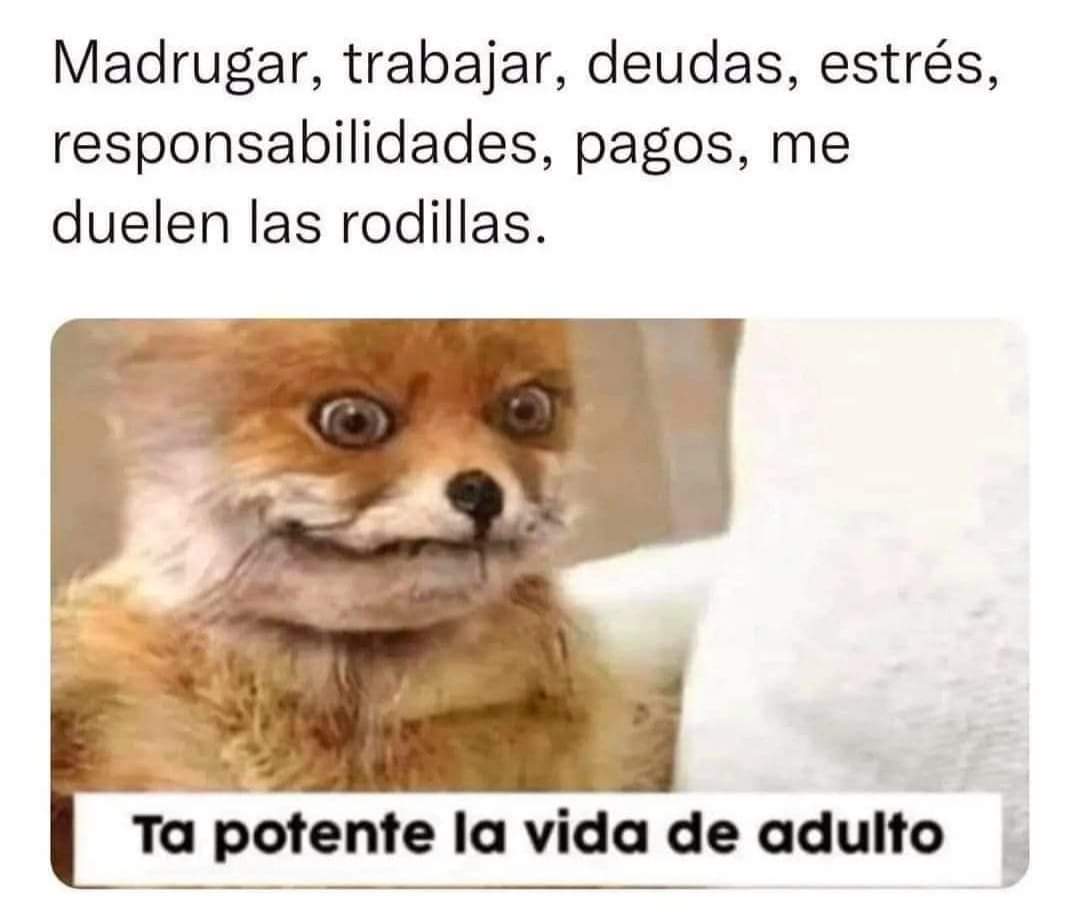 acasasandre's tweet photo. 😵 https://t.co/hgJlLrWK5g