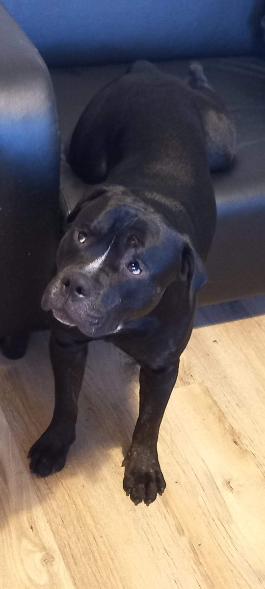 emma hardstaff tweet media