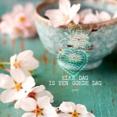 Hannah Moerland tweet media