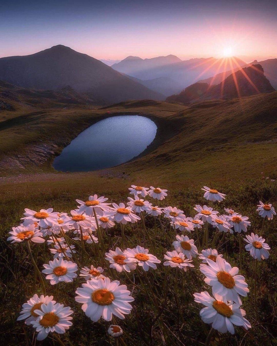 SauthierV's tweet photo. "Ne laisse entrer dans le jardin de ta vie que ceux qui ont des fleurs à planter."
                      Mazouz Hacène

Belle soirée à tous! 💫😉🌍
#ligue_des_optimistes https://t.co/QS83oSyb29