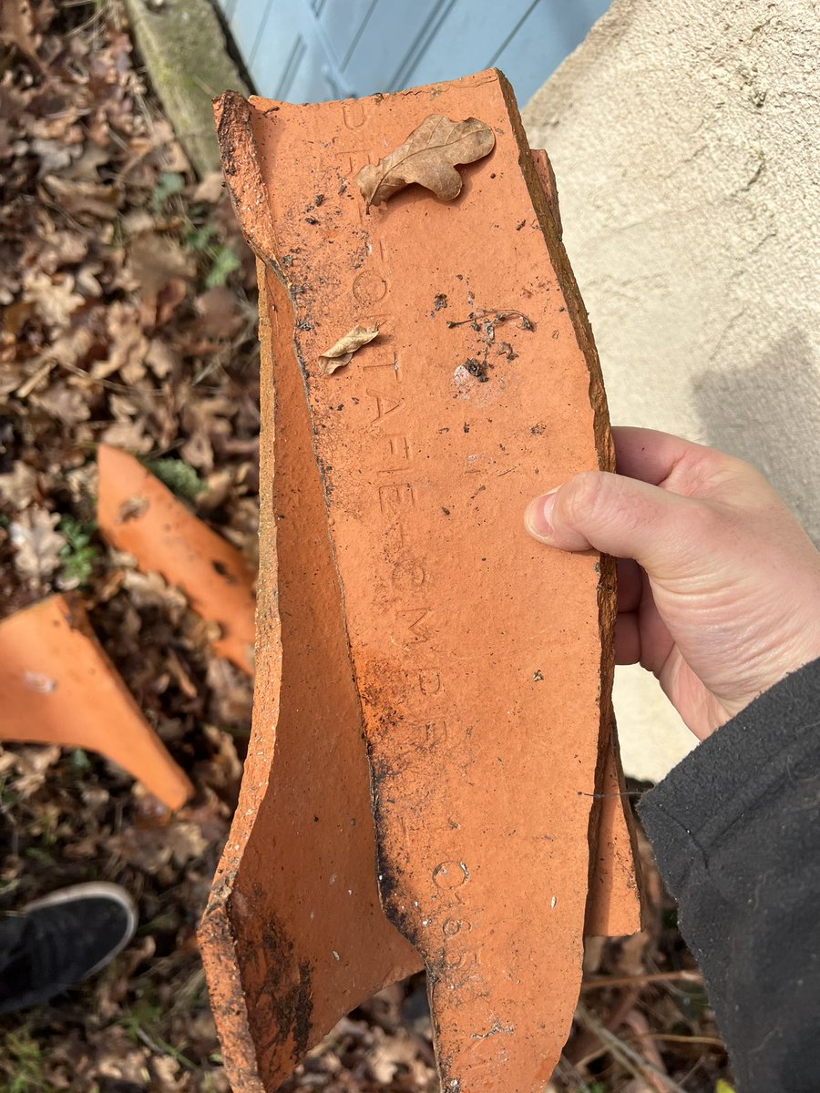 Ulrich Rozier tweet media