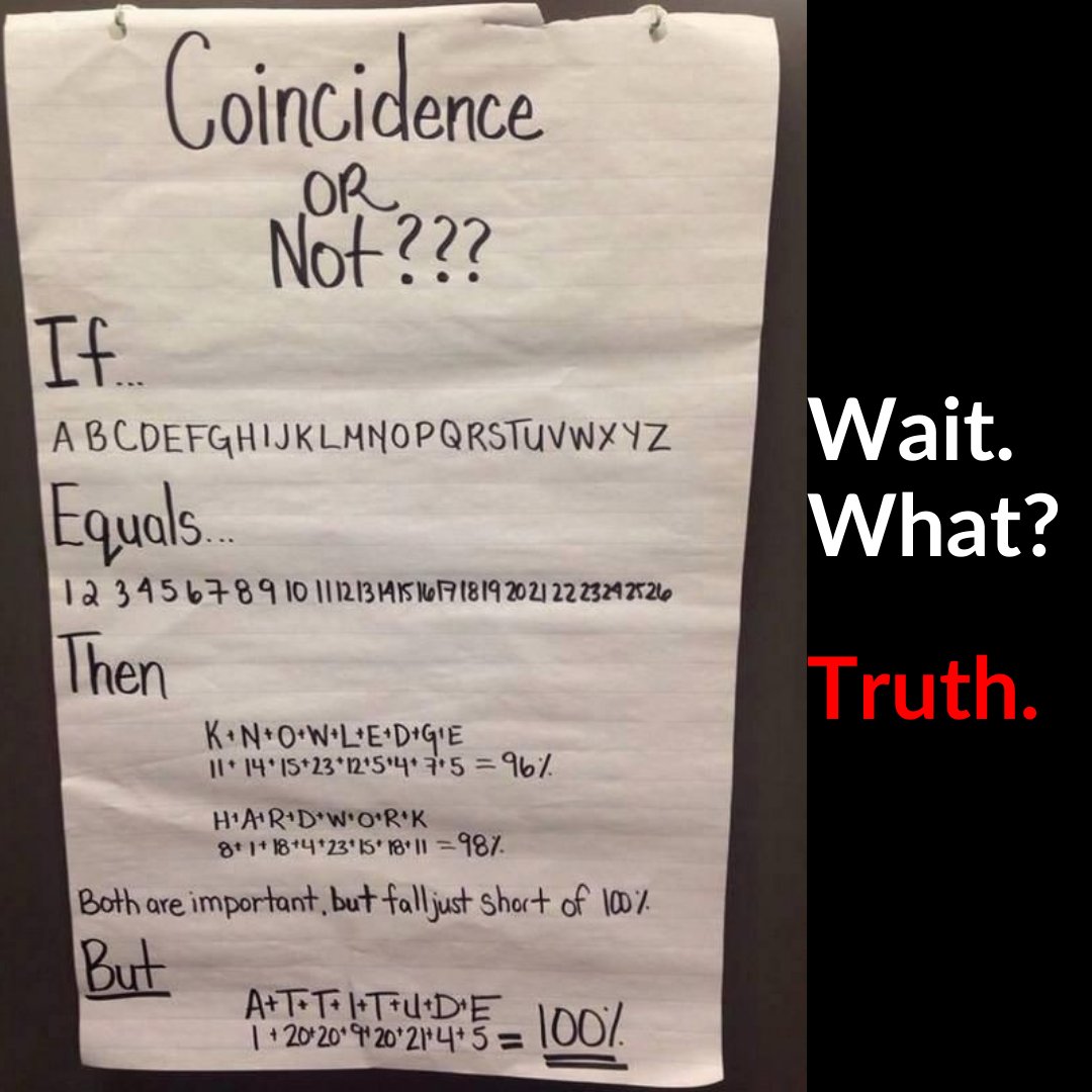 Bear Blocks tweet media