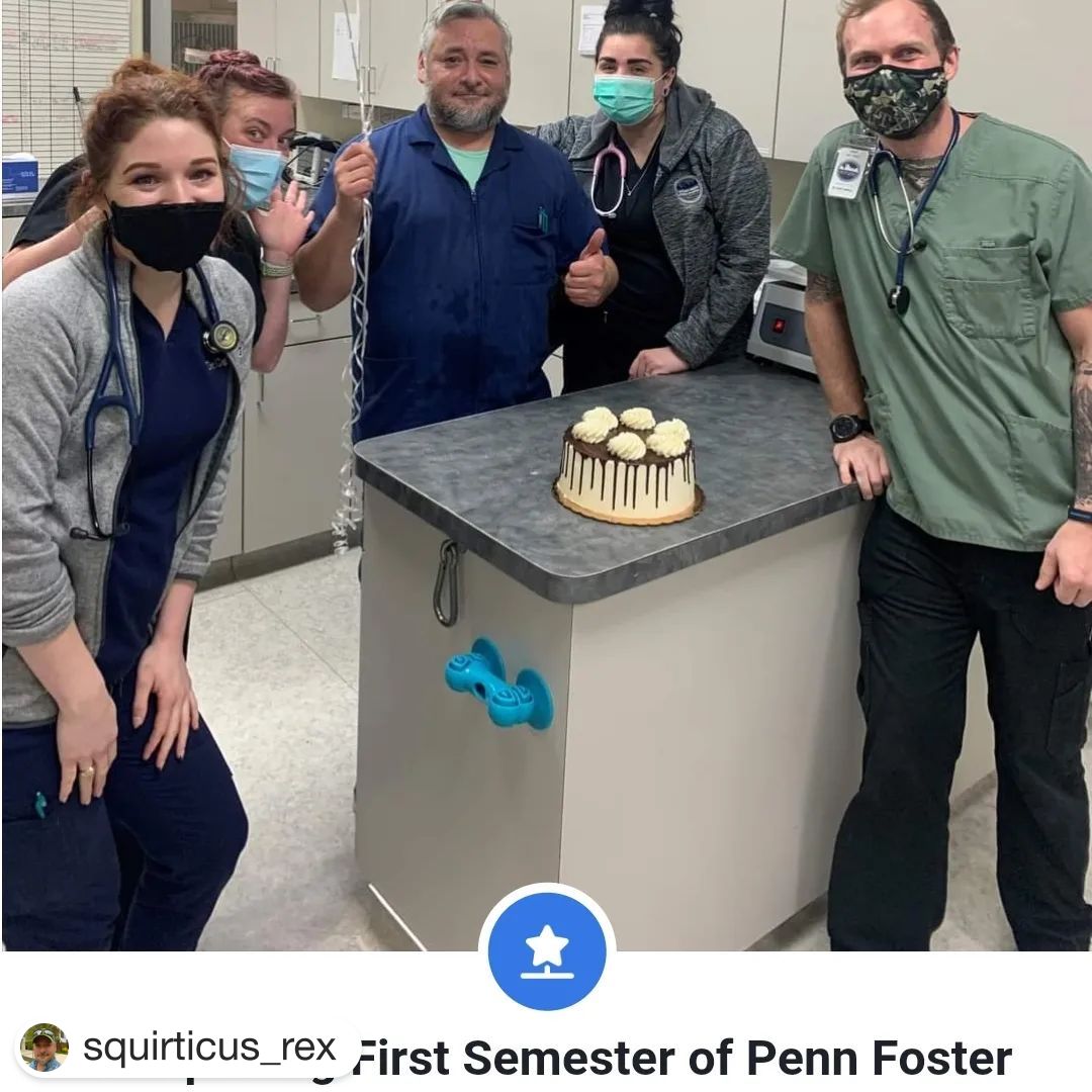 PennFoster's tweet image. Congratulations on finishing your first semester, @squirticus_rex! 
・・・
Thanks Metro Paws and Innovative for this amazing opportunity!! #pennfostervettech #vettechstudent #vettechlife