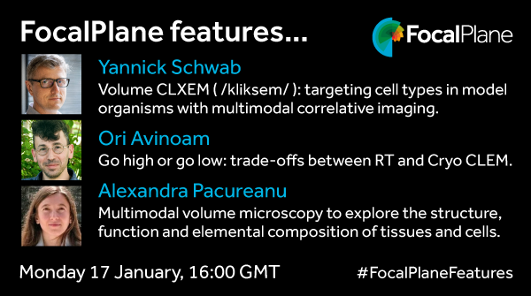 Click to check out the replay of a recent <a href="/focalplane_jcs/">FocalPlane</a> #webinar on correlative light and electron #microscopy #CLEM: bit.ly/3ALxkSo