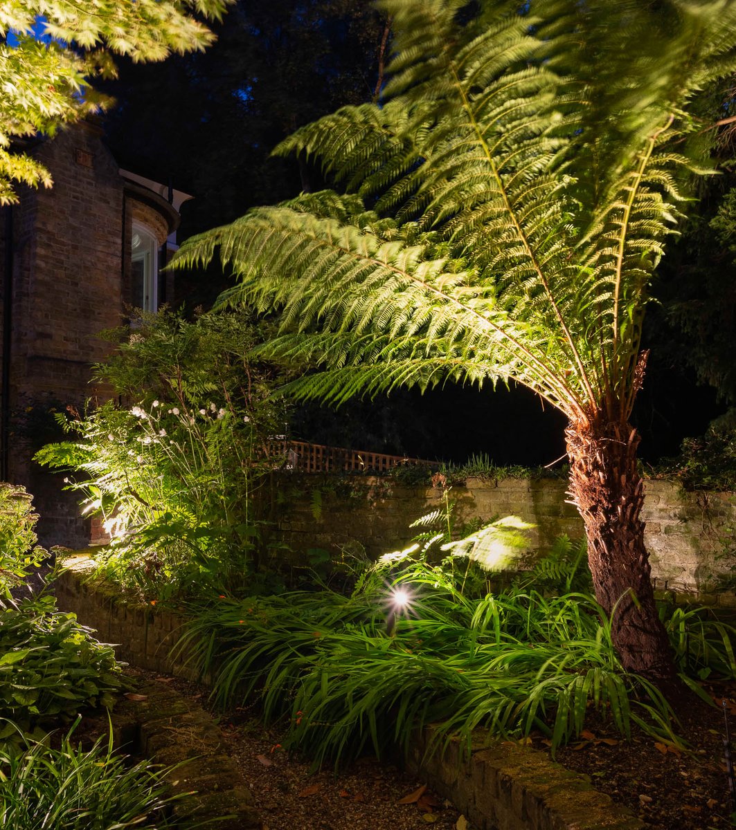 MoonlightDes's tweet image. In this project, by illuminating specimen trees and shrubs, we created enough ambient lighting to guide the client along the path and through the garden.
Photo by @joanna_kossak 
#lightingdesign #pathlighting