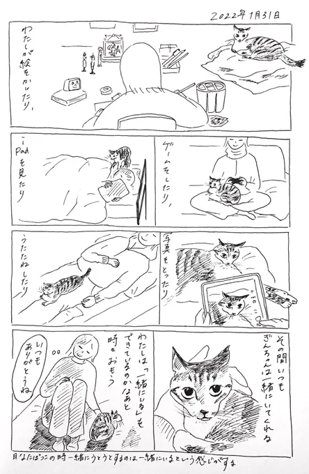 2022/1/31のぎんちゃん #今日のぎんちゃん 