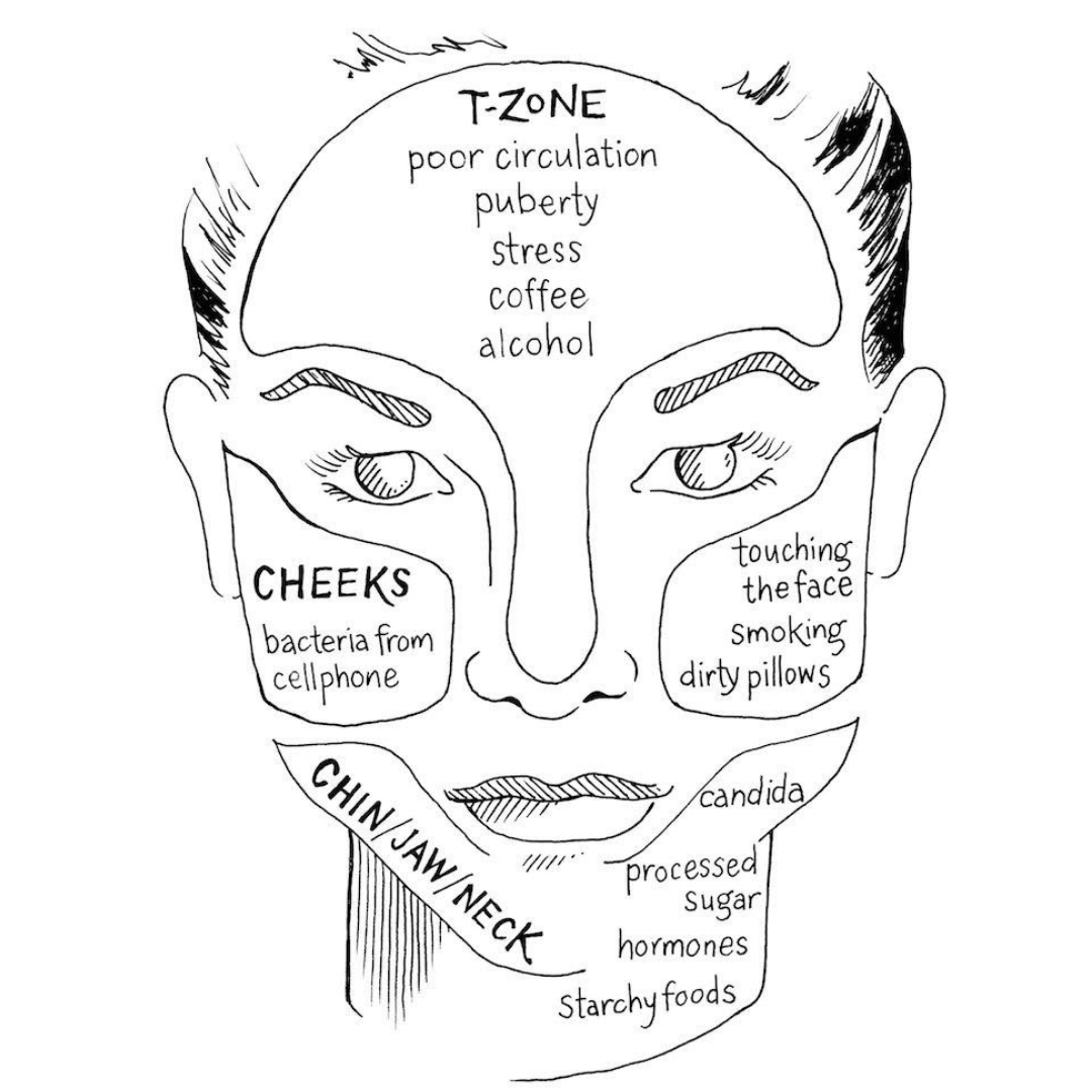 Purvari's tweet photo. Based in Ayurvedic principles, facial zones can help identify the causes of some skin problems. 

@intothegloss

#Purvari #damngooddirt #farmboundpharmfree #puritypreserved #skincaretips #estitips https://t.co/g0vNGZnd4G