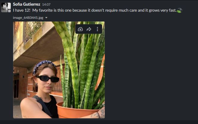 sgsofiaa's tweet image. acabo de bebotear en el grupo de trabajo?
puede ser.