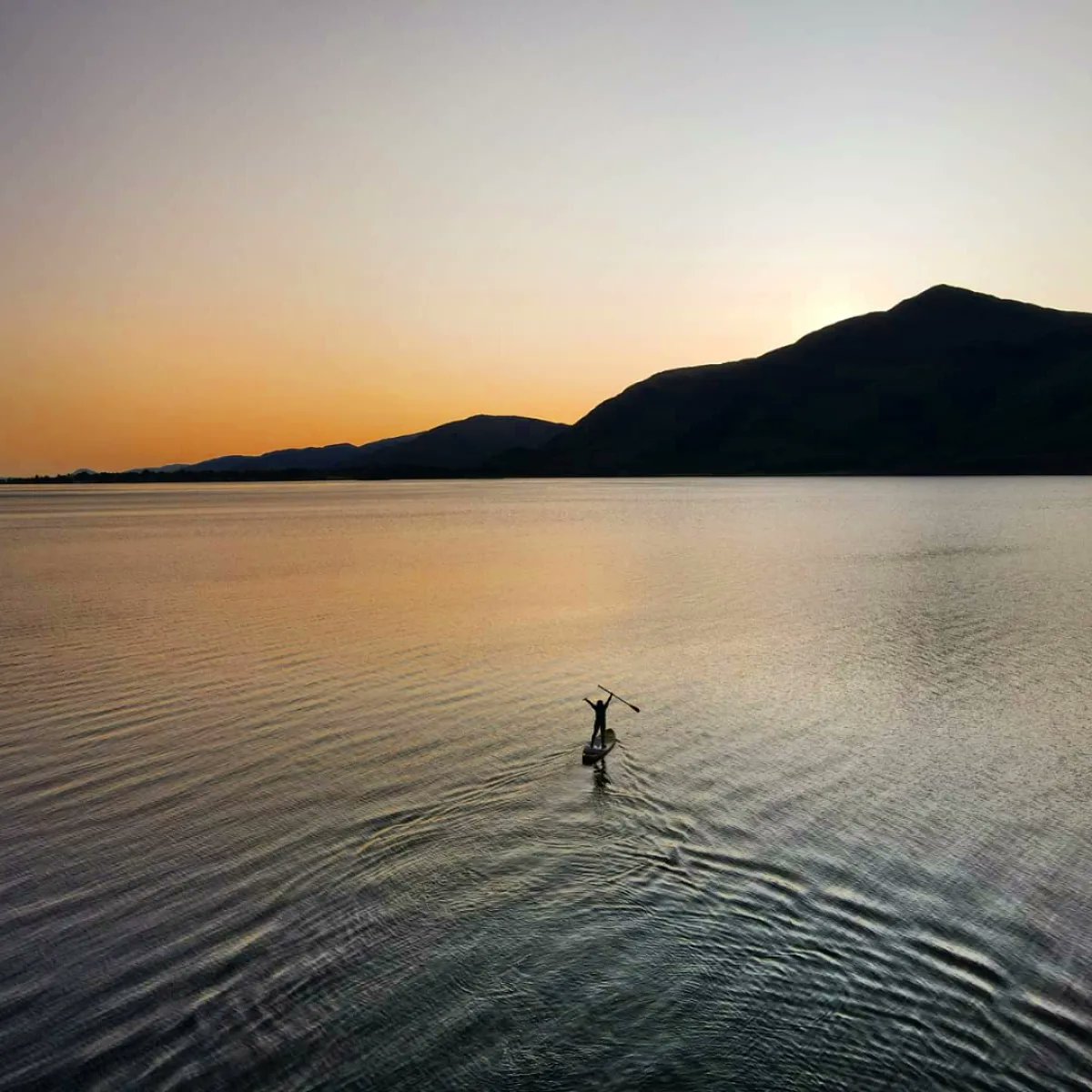 Basecamp Paddleboarding tweet media