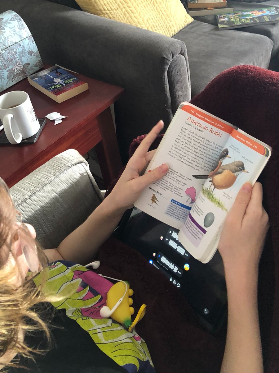 kittyfantastico's tweet photo. @htubman2015 Preparing for Spring, and reading about local birds - READ-O fun! https://t.co/riMcLkLzST
