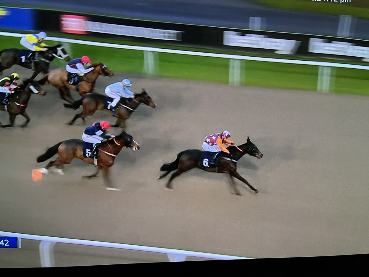 Lincoln Dream gets her head in front @WolvesRaces to give @g_bloodstock our 2nd winner of 2022. Huge thanks to @ivanfurtado21 who’s horses are flying and he doubled up in the 5pm too !