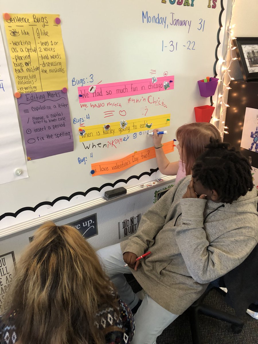 Stefanie DeWolf tweet media