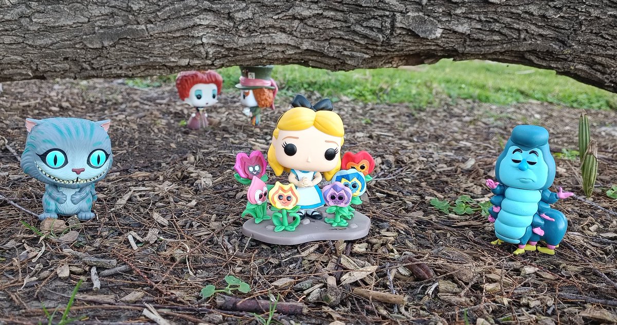 thepeterpop's tweet photo. Wonderland https://t.co/VzjHTXiSN8