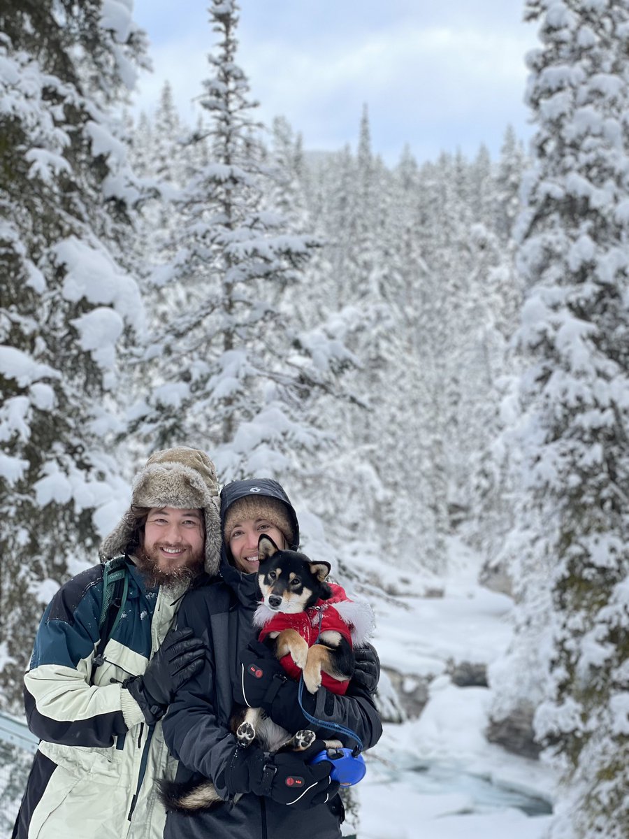 DidiPlusPing's tweet photo. One of Bao Bao’s first winter hikes ❄️🌲🐕 https://t.co/gTxtREkLu9
