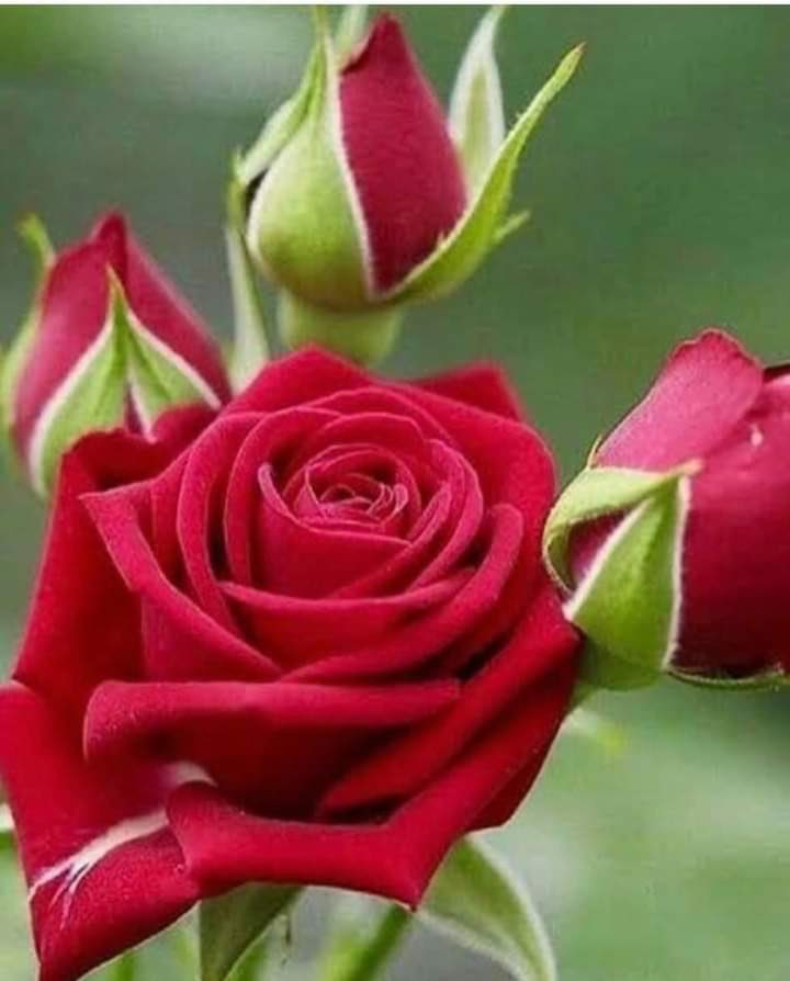 m534652510's tweet photo. @sdhgyedf أه منها كان تجلس عليا ادفيني https://t.co/WHUU9gFW6V