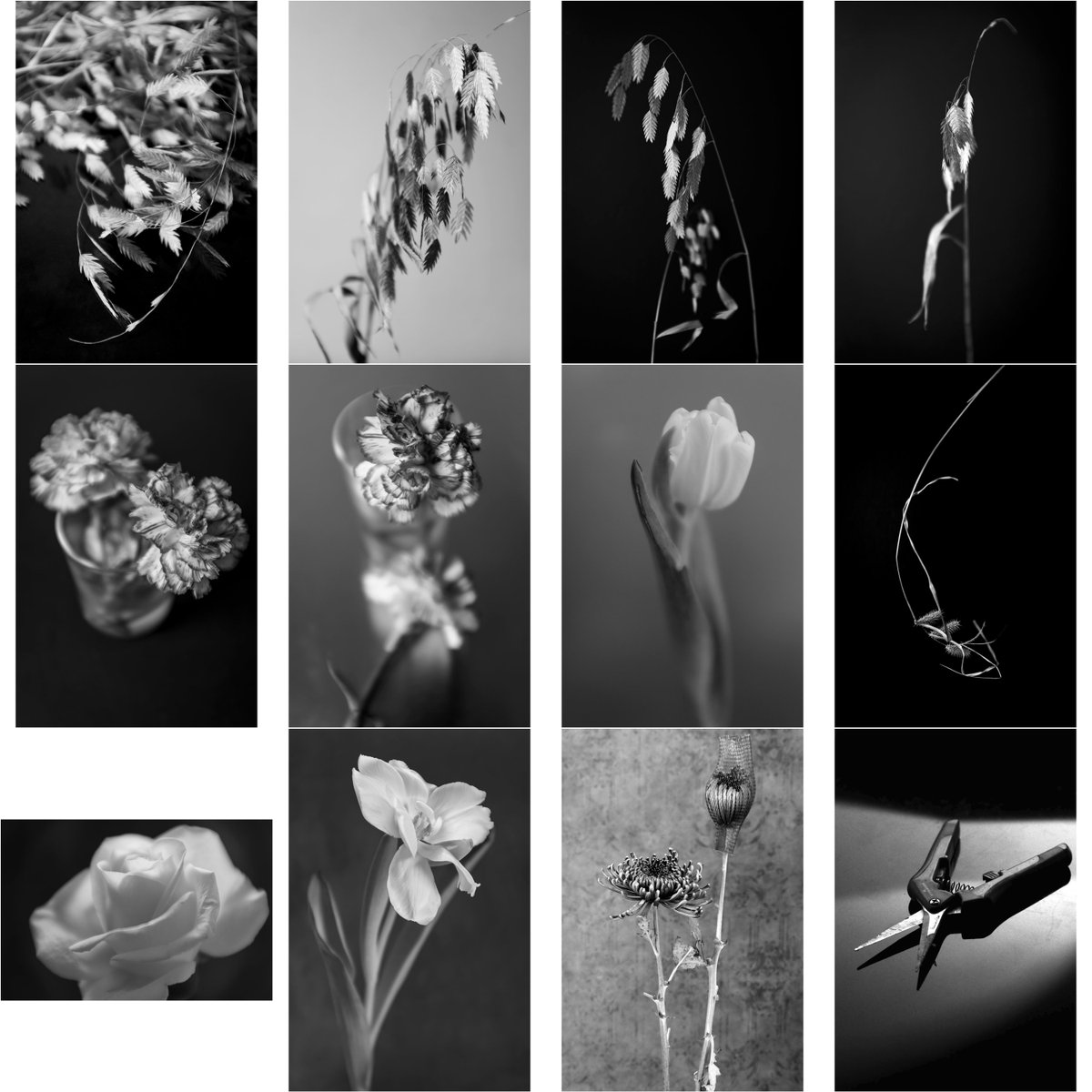 a1111ac011d0's tweet photo. Thanks @withFND for the love
Yes, I did call my b/w collection "LUX"
🖤/🤍
https://t.co/KH2DaulAK3 https://t.co/48gB84WN3m
