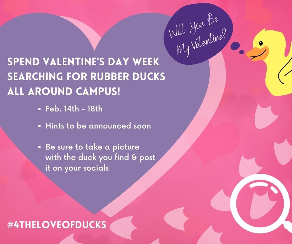 TexanSmart's tweet photo. We're excited to announce a special Valentine's Week duck hunt!  
Keep an eye on our socials for more info
#4theloveofducks #betexansmart https://t.co/cTLwvaYTjU