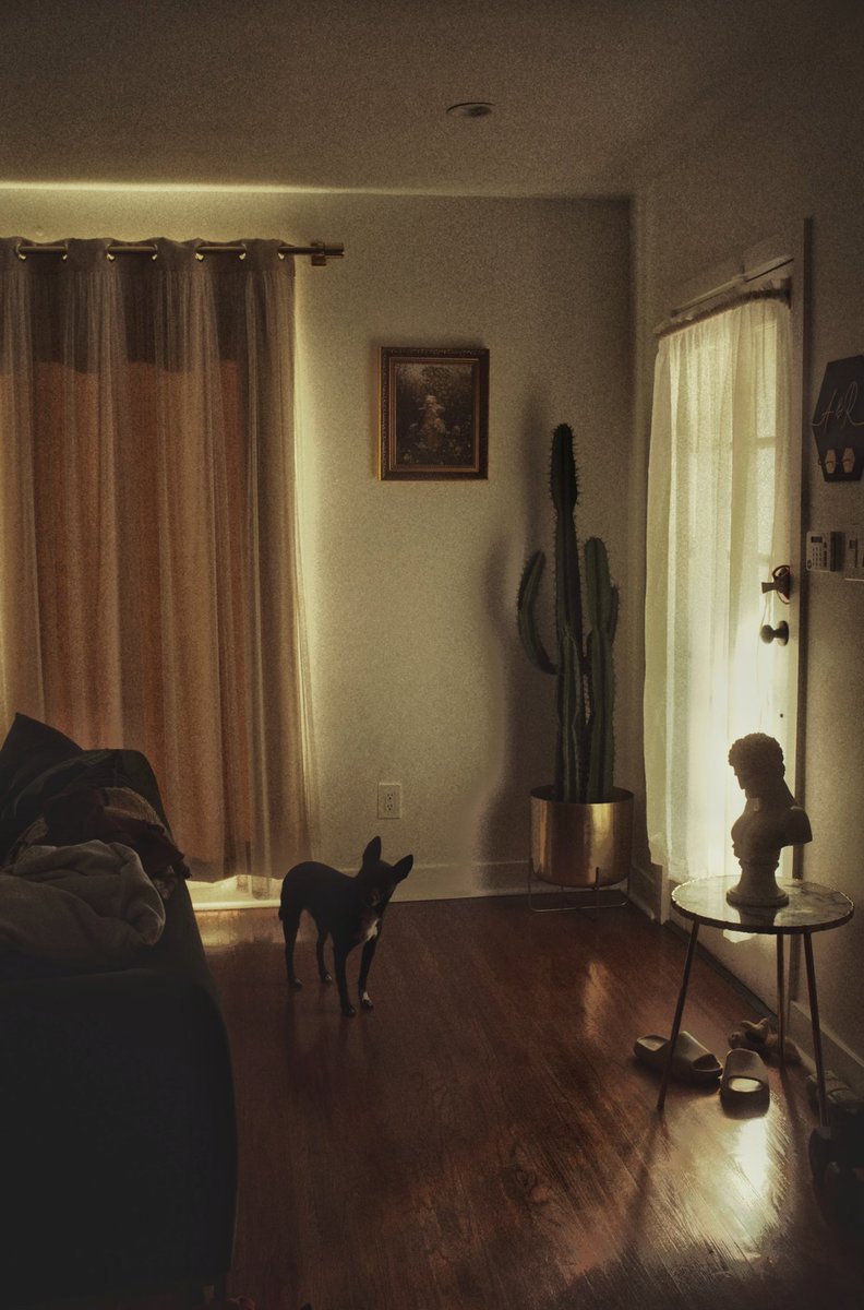 good morning #Leica #35mm #photography #NFT