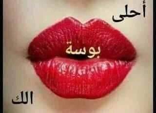 awraqmbthrt2's tweet photo. @sdhgyedf @rwnq42245741 https://t.co/22AyCXmLVz