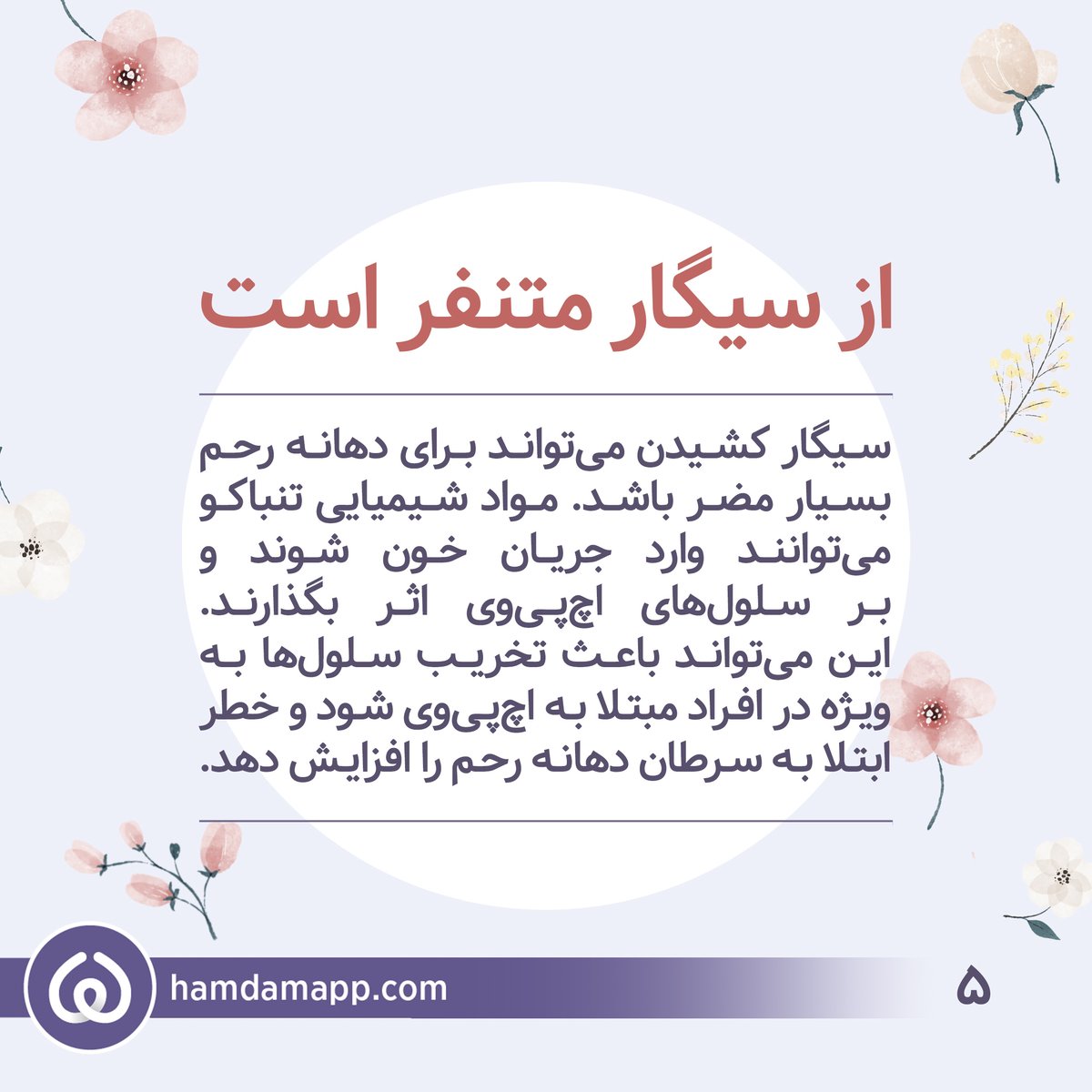 Hamdam tweet media